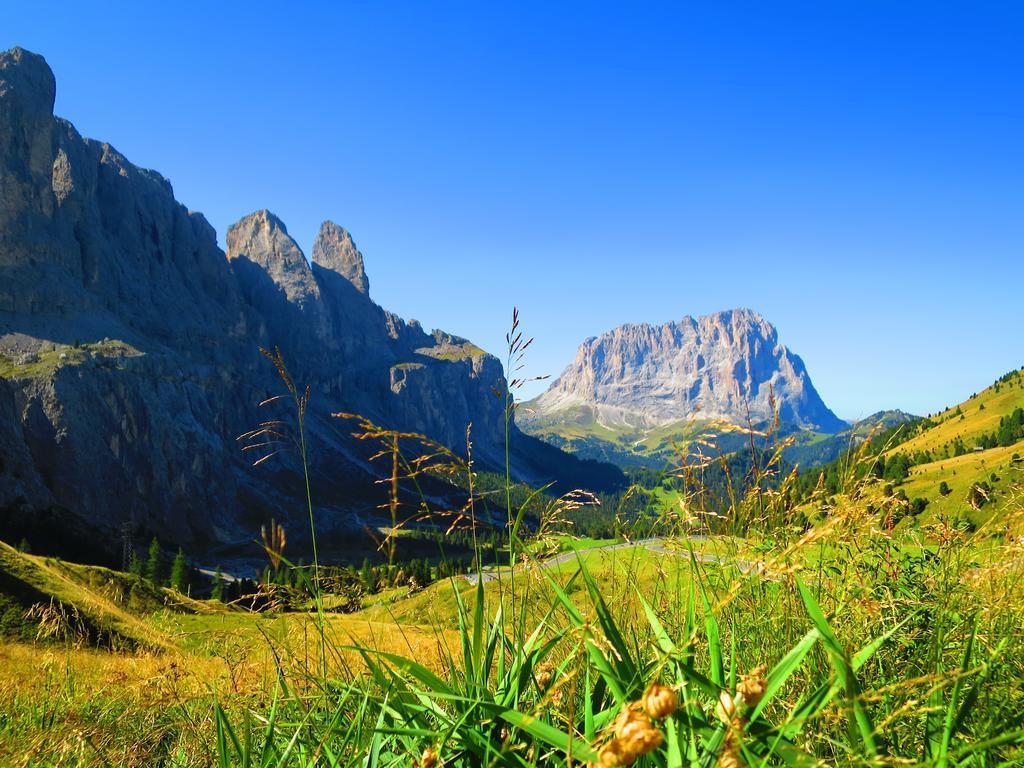 Hotel La Pineta Selva di Val Gardena