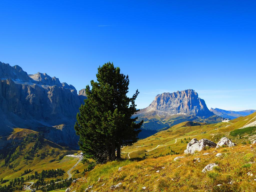 La Pineta